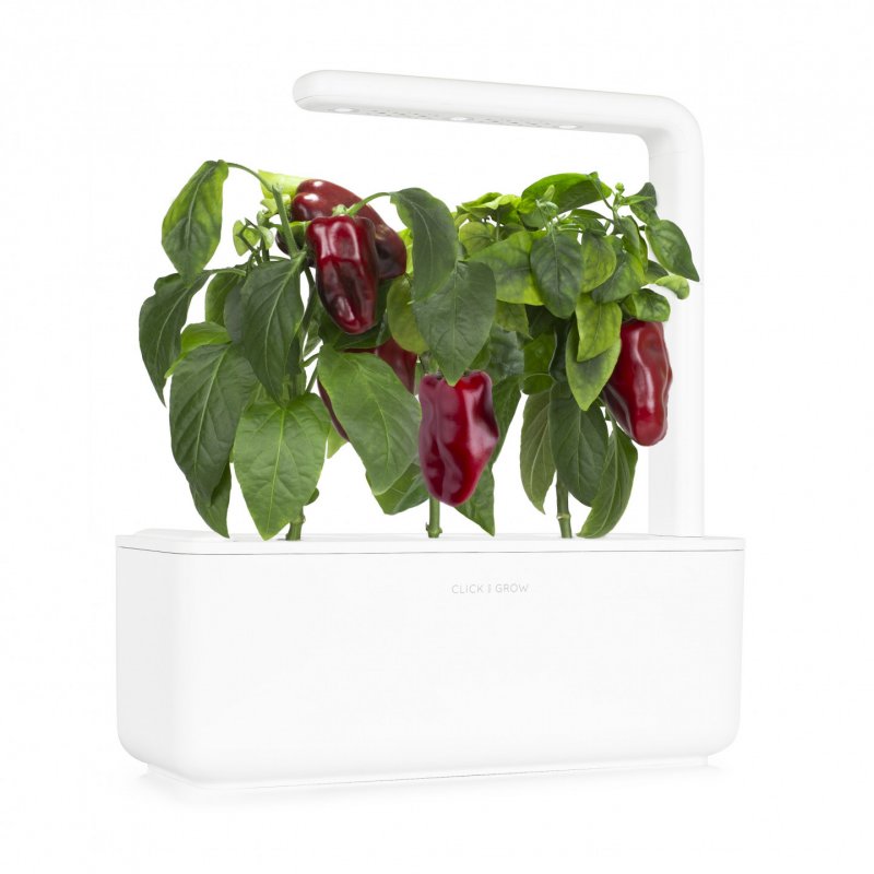 Click and Grow - Smart Garden Refill 3-pack Sweet red peppers