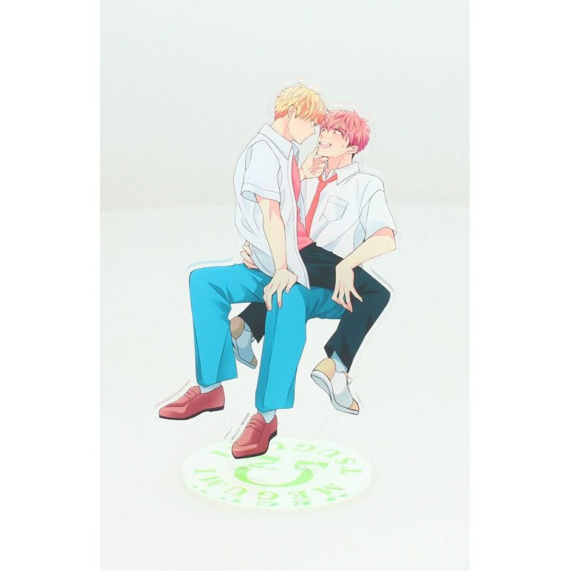 Megumi & Tsugumi figurine acrylique Megumi & Tsugumi 10 cm