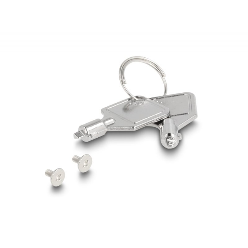 Delock Wechselrahmen Einschub 1 x M.2 NMVe SSD für 47028