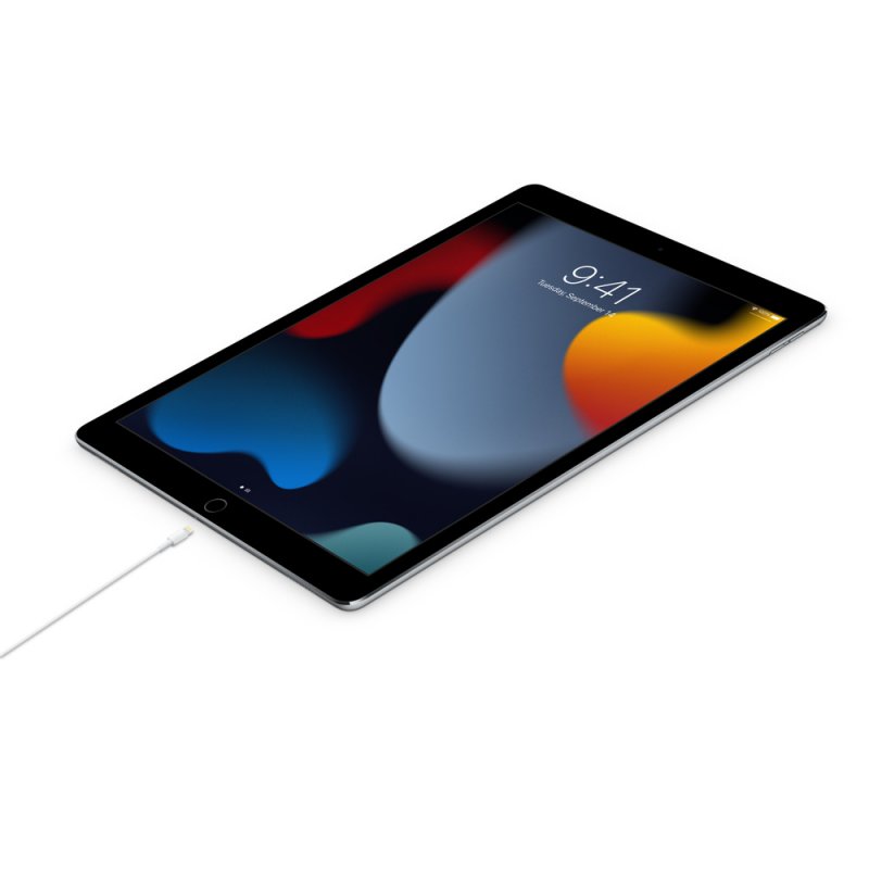 USB-C TO LIGHTNING CABLE 1 M -ZML