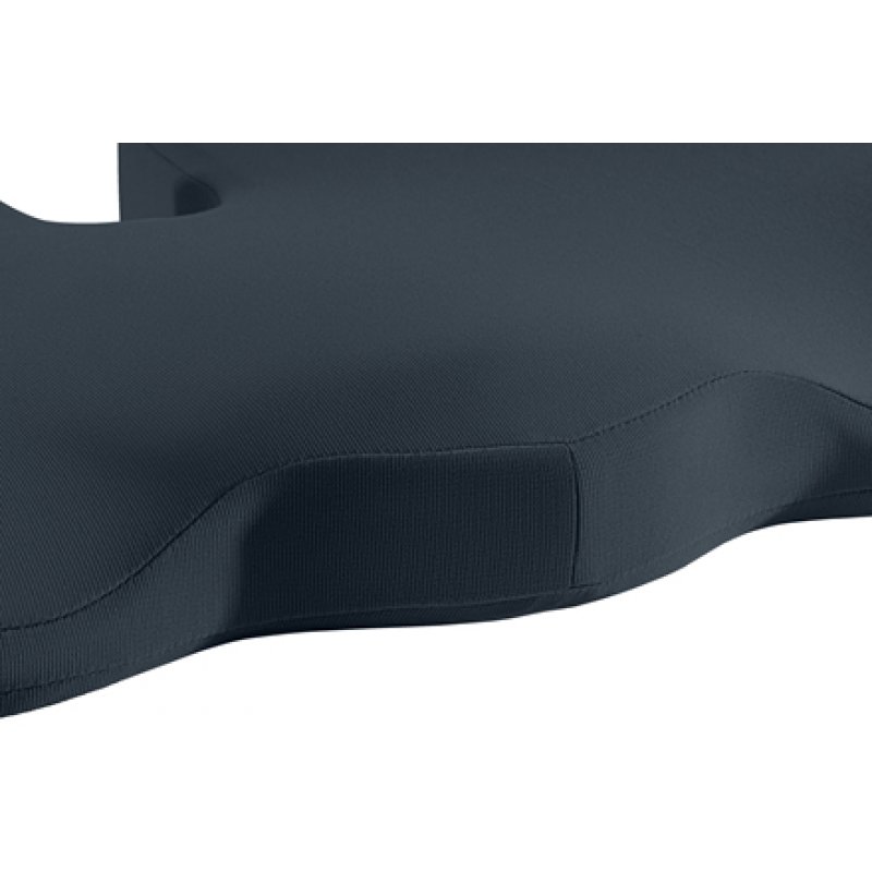 Leitz Ergo Cosy Gris Coussin de chaise