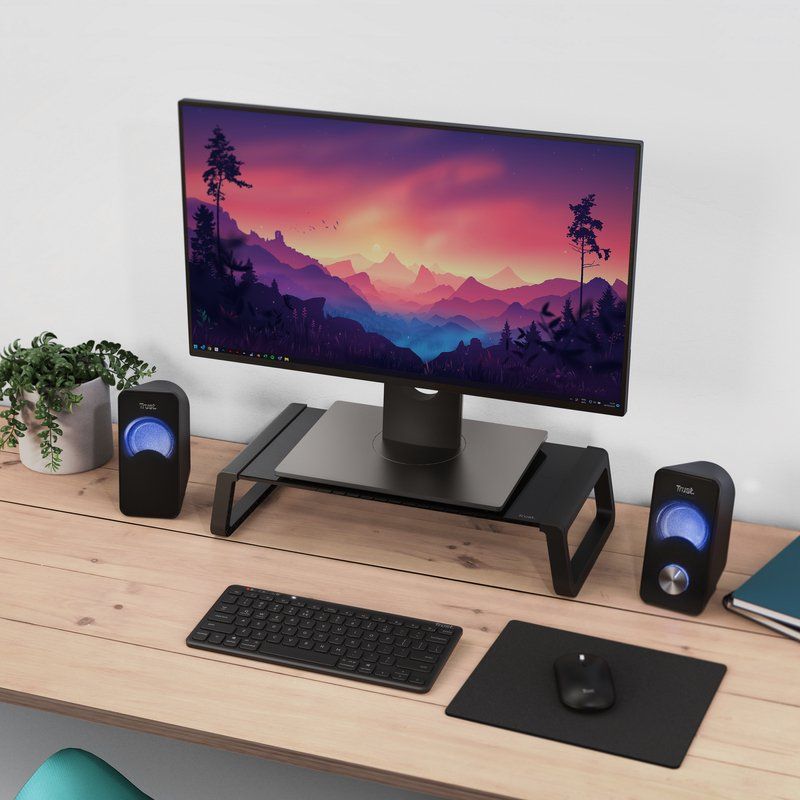 MONITOR STAND
