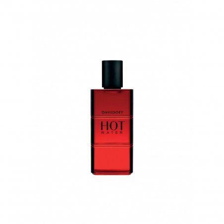 Davidoff Hot Water 60 ml Hommes