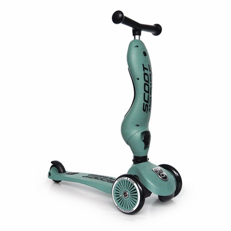 Scoot & Ride Highwaykick 1 Kids Three wheel scooter Green