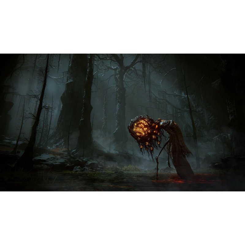 BANDAI NAMCO Entertainment Elden Ring: Shadow of the Erdtree - Collector's Edition Collectionneurs Xbox Series X