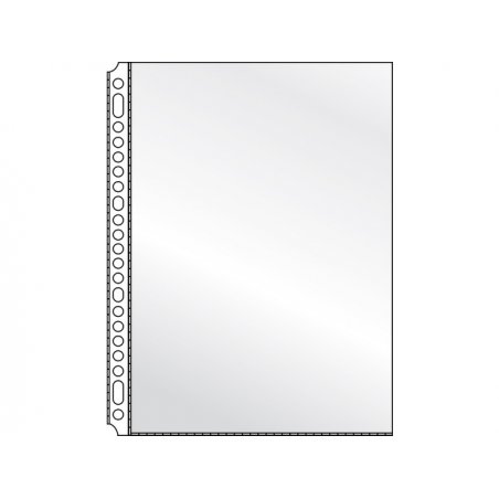 KANGARO Show bag 23-Hole 0.12mm Transparent 10pcs A4 /Stationary
