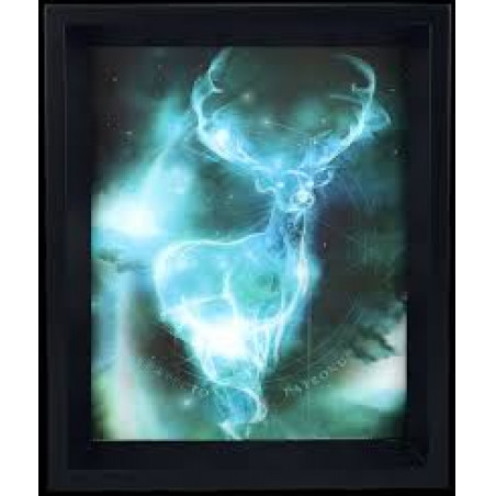 HARRY POTTER - 3D Lenticular Poster 26X20 - Expecto Patronum