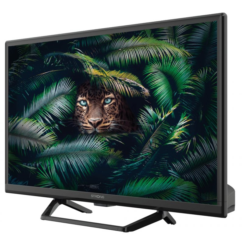 Strong SRT 24HE4023C 61 cm (24") HD Black 180 cd/m²