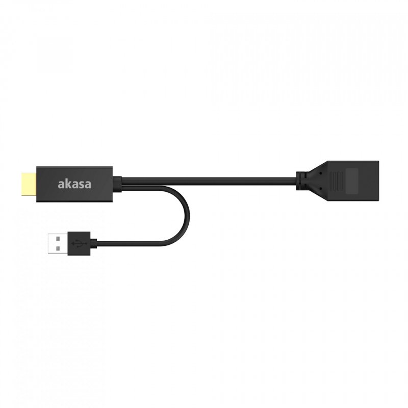 Akasa HDMI zu DisplayPort Adapater Kabel - schwarz - Kabel - Digital/Display/Video câble HDMI 250 m HDMI Type A