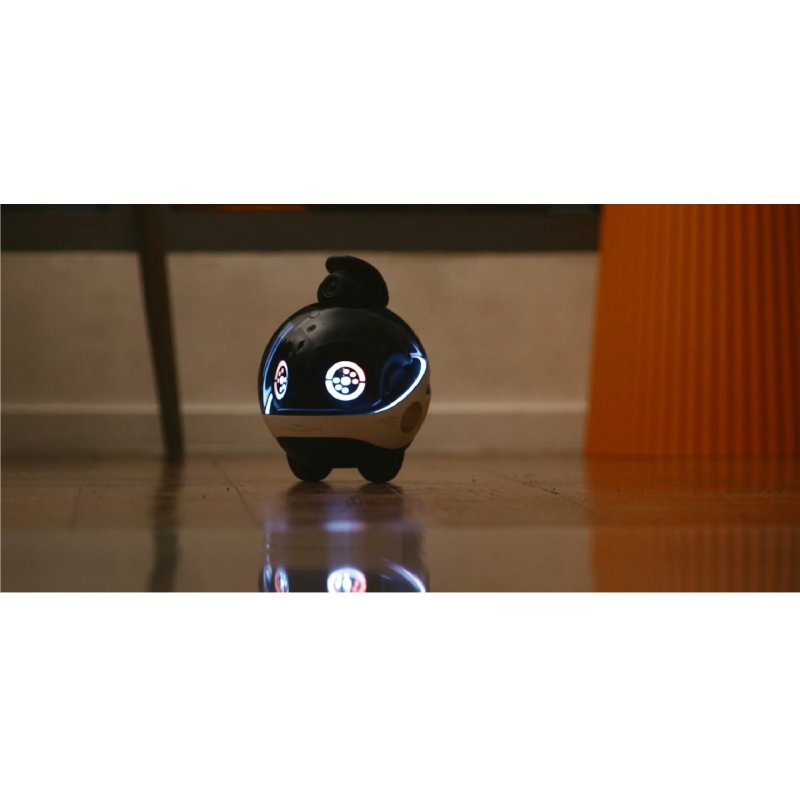 Enabot - EBO X Family and pet Companion and Security Robot - (WH287303)