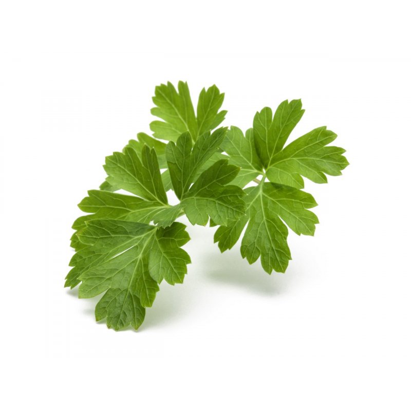 Click and Grow - Smart Garden Refill 3-pack Plain Parsley