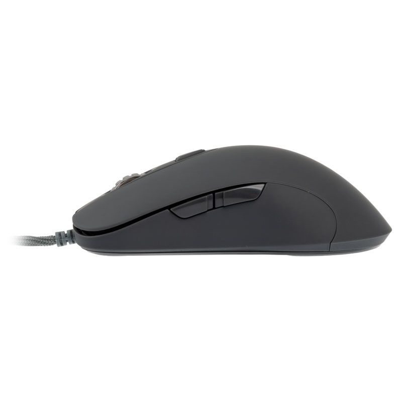 Dream Machines compatible DM1 FPS Smoke Grey Souris Gaming - RGB, dunkelgrau,