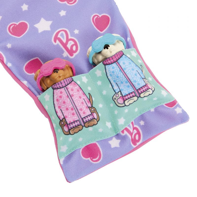 Barbie Doll and Accessories