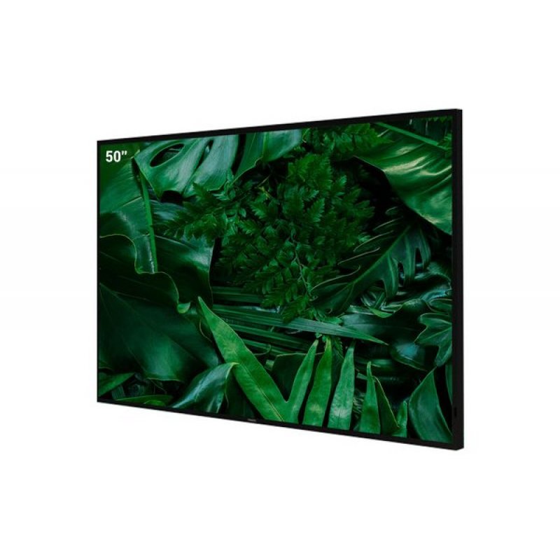 PHILIPS - Signage screen 50" 50BDL3650QE/00