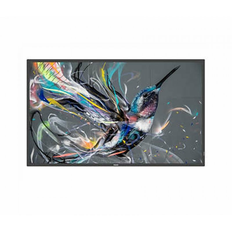 PHILIPS- Signage screen 65" 65BDL3650QE/00