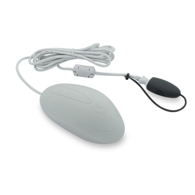 Secomp 18022812 mouse Right-hand USB Type-A 800 DPI