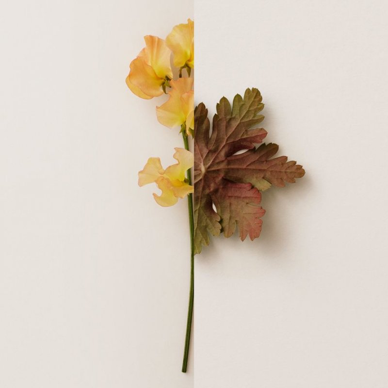 Burberry My, 90 ml (Tester)