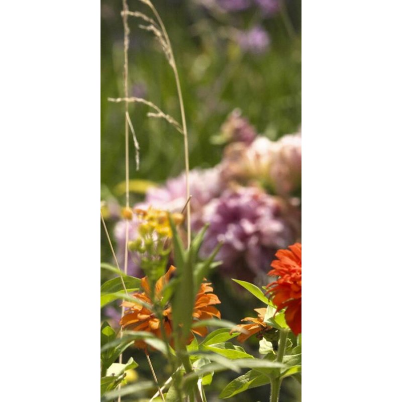 Gucci Bloom, Eau de Parfum, 100ml, Femei, Tester