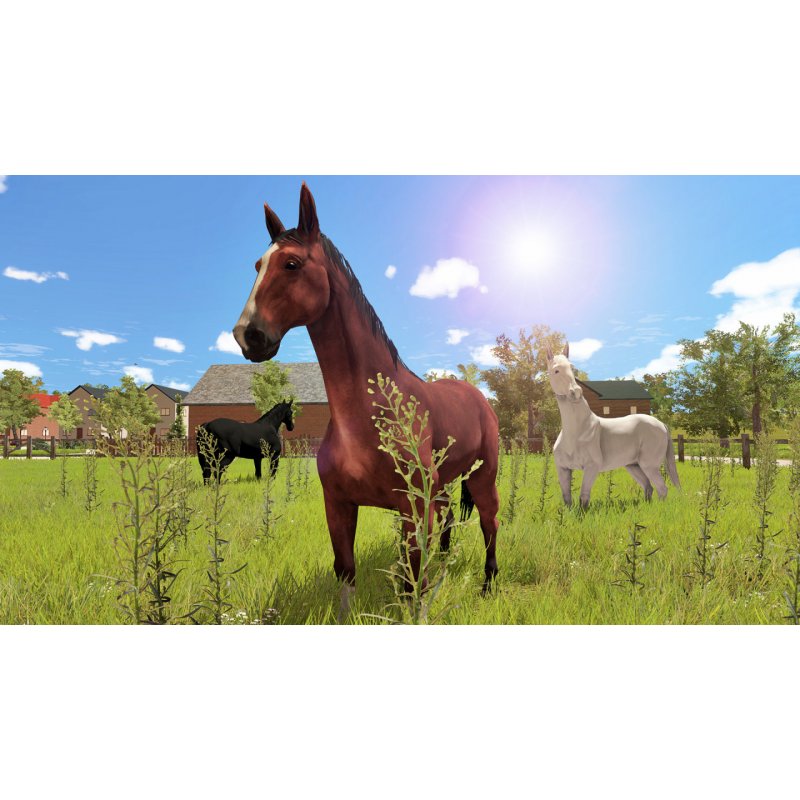 Bigben Interactive My Little Riding Champion Standard Dutch, French PlayStation 4