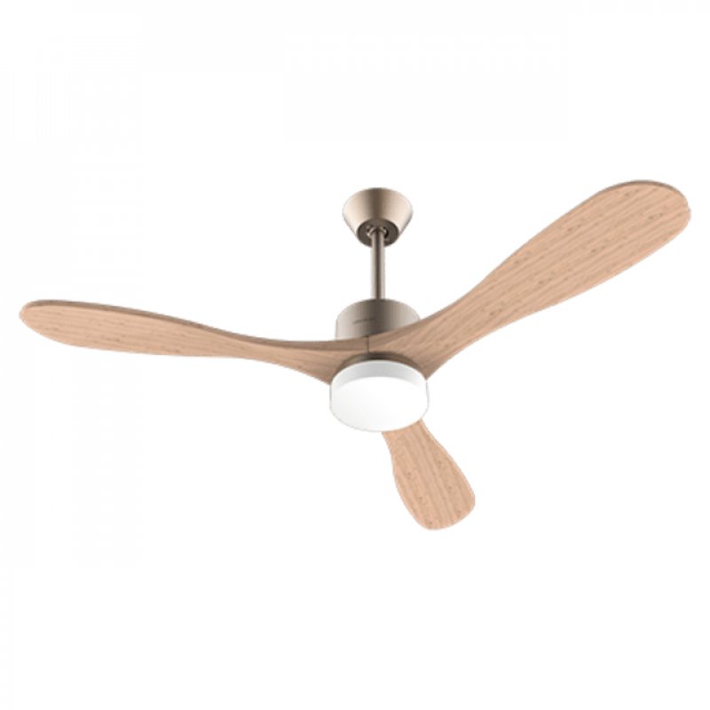 Cecotec 05983 ventilateur Or