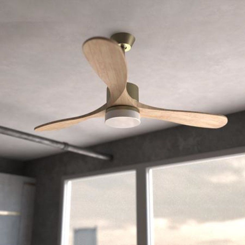 Cecotec 05983 household fan Gold