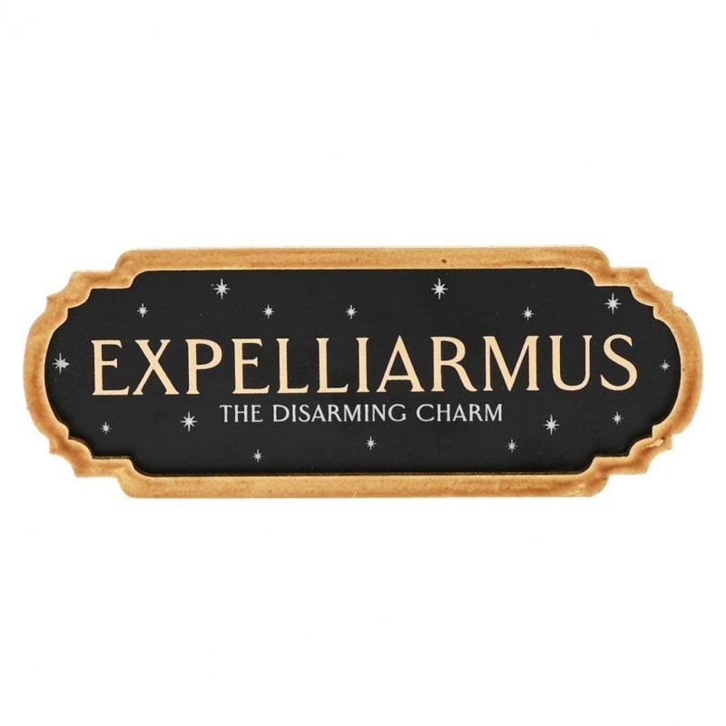 HARRY POTTER - Expelliarmus - Décoration Murale