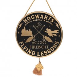 HARRY POTTER - Flying Lesson - Décoration Murale