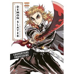 DEMON SLAYER - Anime Artbook - Tome 2