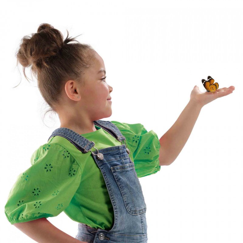 SES Creative - Insect Hotel - Butterflies - (S25204)