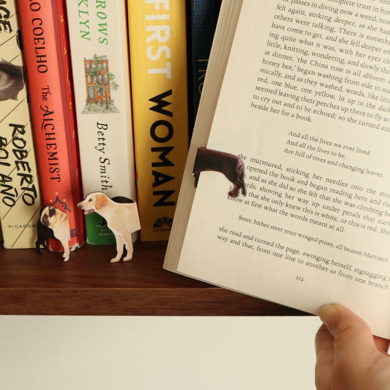 Kikkerland ST129 marque-pages Magnetic bookmark Multicolore 8 pièce(s)