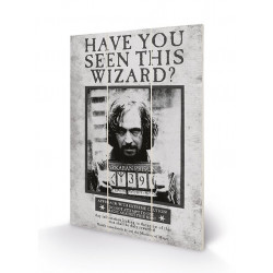 HARRY POTTER - Sirius Wanted - Impression sur bois 20x29.5