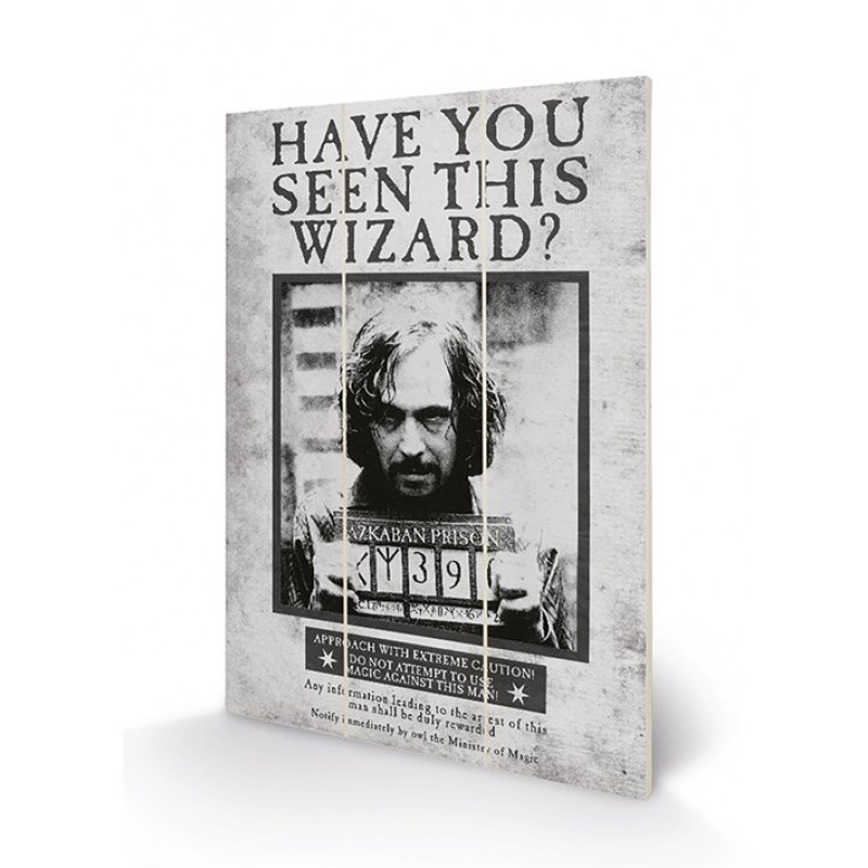 HARRY POTTER - Sirius Wanted - Impression sur bois 20x29.5