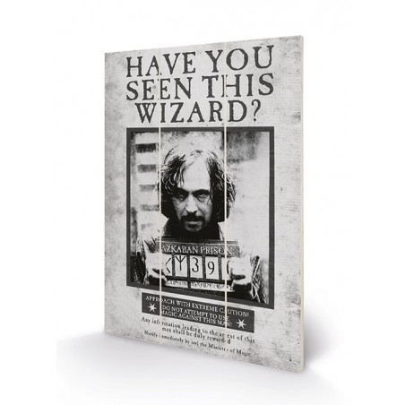 HARRY POTTER - Sirius Wanted - Impression sur bois 20x29.5