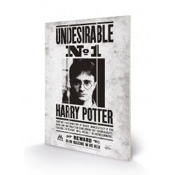 HARRY POTTER - Undesirable No1 - Impression sur bois 20x29.5