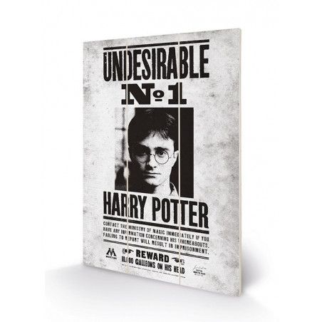 HARRY POTTER - Undesirable No1 - Impression sur bois 20x29.5