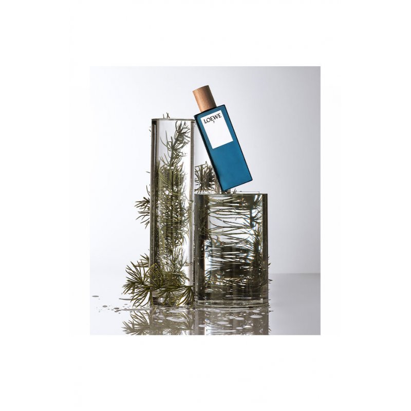 Loewe 7 edt vapo 100ml