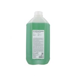 BACK BAR REVITALIZING SHAMPOO N°04 NATURAL HERBS 5LT