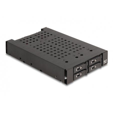 DeLock 3.5? Wechselrahmen für 4 x M.2 NVMe SSD, 47111