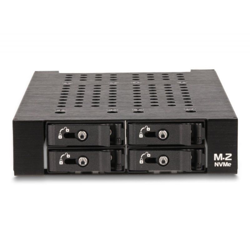 DeLOCK 47111 computer case part Rack HDD Cage
