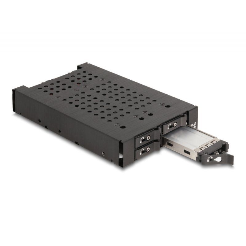 DeLock 3.5? Wechselrahmen für 4 x M.2 NVMe SSD, 47111