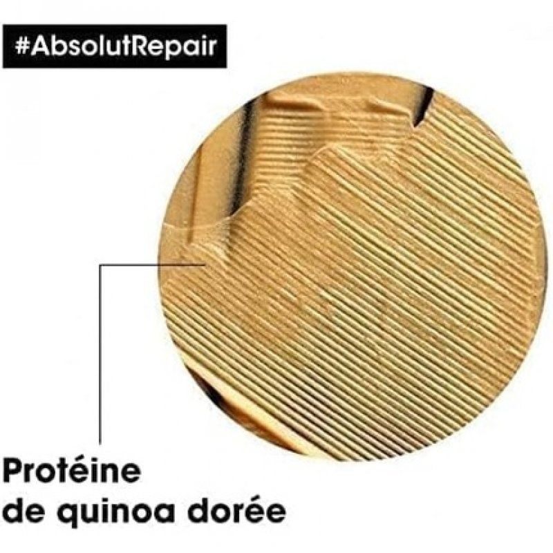 ABS REPAIR MSQ GOLD 500ML