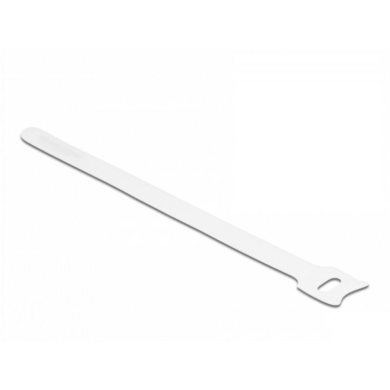 DeLOCK 19520 cable tie Hook & loop cable tie White 10 pc(s)