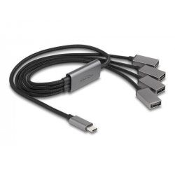 DeLOCK 64210 hub & concentrateur USB 2.0 Type-C 480 Mbit/s Noir, Gris