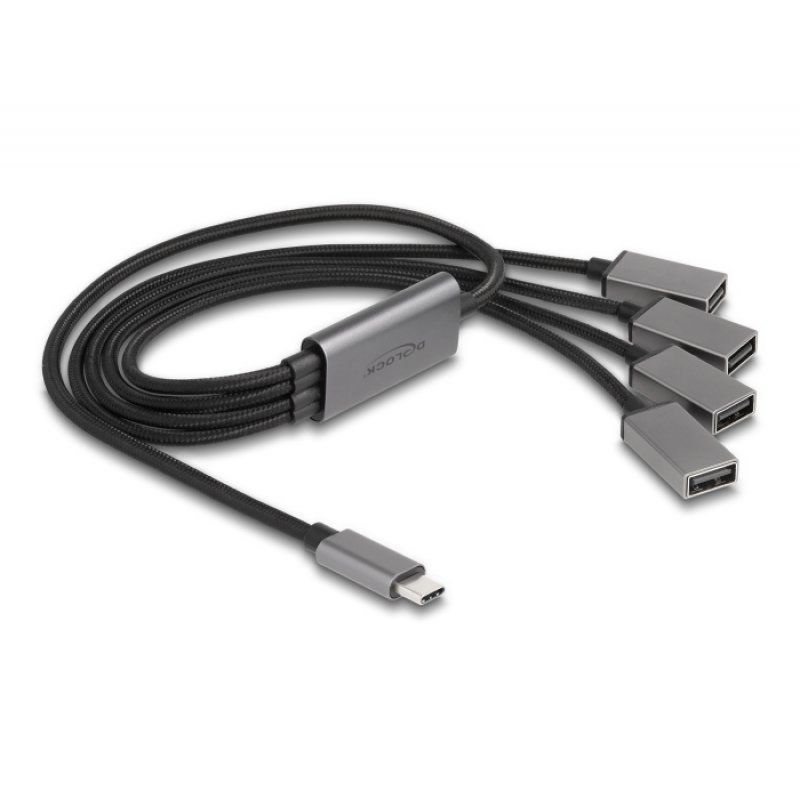 DeLOCK 64210 interface hub USB 2.0 Type-C 480 Mbit/s Black, Grey