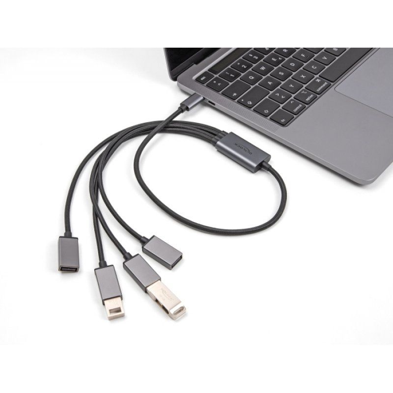 Delock 4 Port USB 2.0 Kabel-Hub mit USB Type-C™ Anschluss 60 cm
