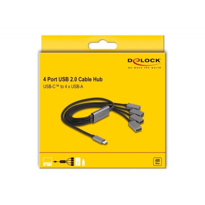 DeLOCK 64210 hub & concentrateur USB 2.0 Type-C 480 Mbit/s Noir, Gris