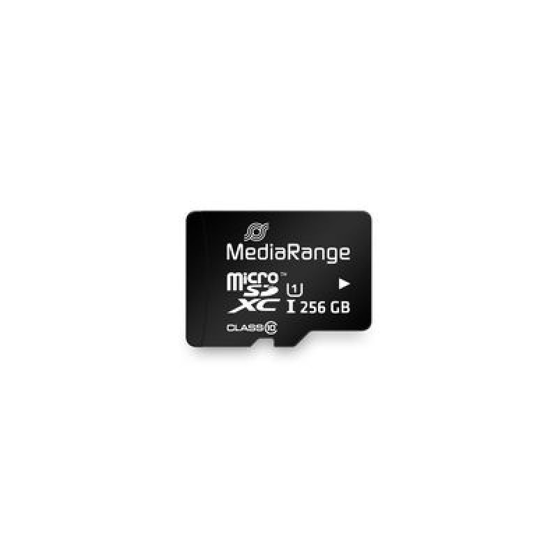 256 GB microSDXC (schwarz, Class 10)