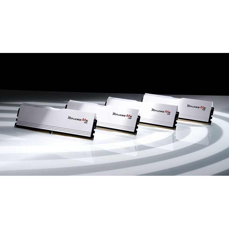 D548GB 5200-40 Ripjaws M5 wh K2 GSK (F5-5200J4040A24GX2-RM5RW)