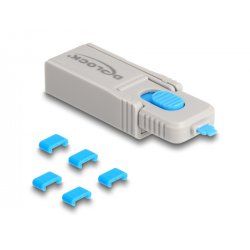 DeLOCK 20926 bloqueur de port Bloqueur de port clé USB Type-C Bleu, Gris Plastique 11 pièce(s)
