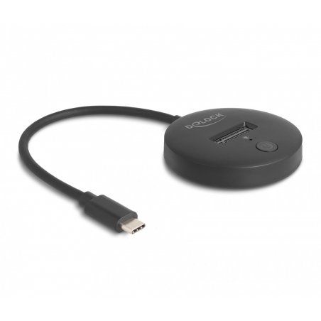 DeLOCK 64254 storage drive docking station USB 3.2 Gen 1 (3.1 Gen 1) Type-C Black